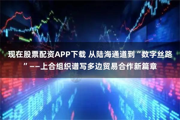 现在股票配资APP下载 从陆海通道到“数字丝路”——上合组织谱写多边贸易合作新篇章