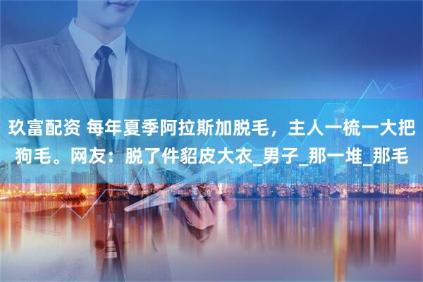 玖富配资 每年夏季阿拉斯加脱毛，主人一梳一大把狗毛。网友：脱了件貂皮大衣_男子_那一堆_那毛