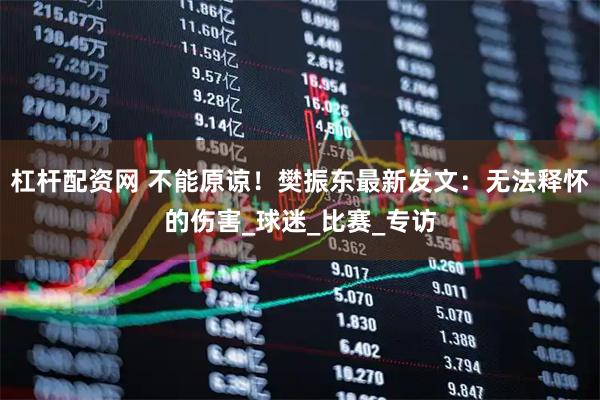 杠杆配资网 不能原谅！樊振东最新发文：无法释怀的伤害_球迷_比赛_专访